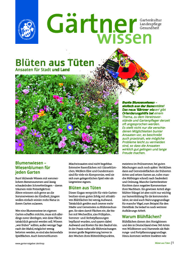 Gw Blüten Aus Tüten (2019)