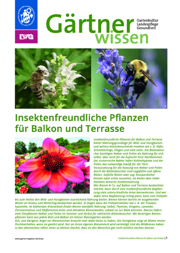 Gw Insektenfreundliche Pflanzen (2018)