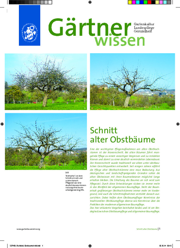 Gw Schnitt Alter Obstbäume (2019)